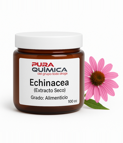 EXTRACTO SECO ECHINACEA 1/1 X KG