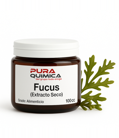 EXTRACTO SECO FUCUS 3/1X KG