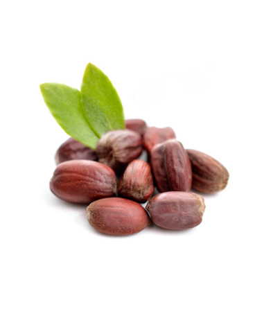 ACEITE JOJOBA GOLDEN ORGANICO  X KG ( COSMETICA NATURAL)