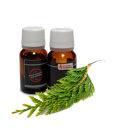 CIPRES ACEITE ESENCIAL PURO 100% NAT (COSMETICA NATURAL) X KG