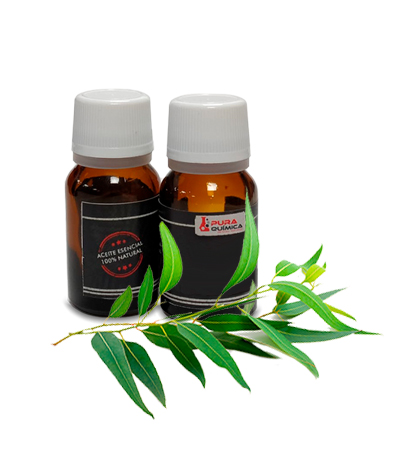 EUCALIPTUS ACEITE ESENCIAL PURO 100% NAT (COSMETICA NATURAL) X KG