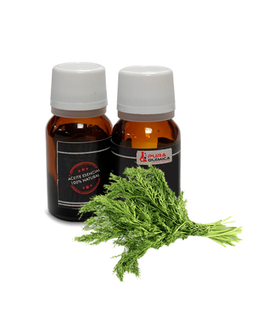 HINOJO ACEITE ESENCIAL PURO 100% NAT (COSMETICA NATURAL) X KG