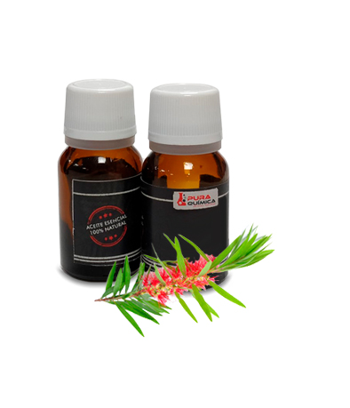 NIAOULI ACEITE ESENCIAL PURO 100% NAT (COSMETICA NATURAL) X KG