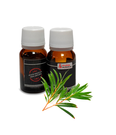 TEA TREE ACEITE ESENCIAL PURO 100% NAT (COSMETICA NATURAL) X KG