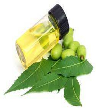 ACEITE DE NEEM PURO VIRGEN Y ORGANICO X KG ( VEGETAL)
