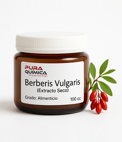 EXTRACTO SECO BARBERIS VULGARIS 5/1 X KG