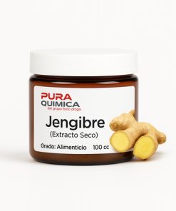 EXTRACTO SECO JENGIBRE X KG